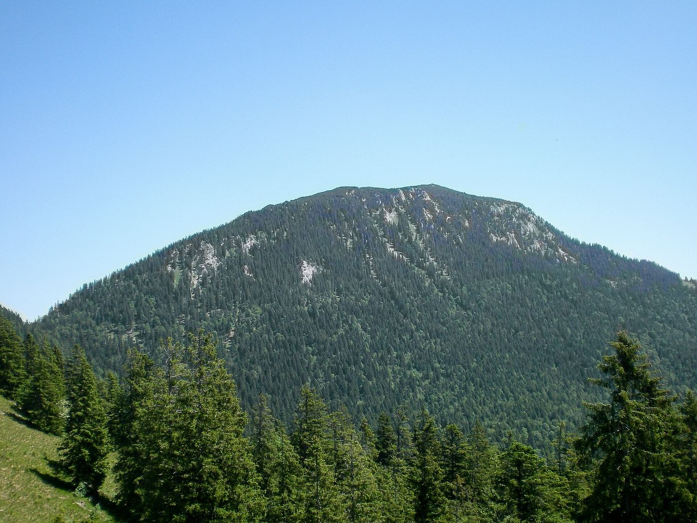 Benediktenwand von der Achala Alm aus gesehen